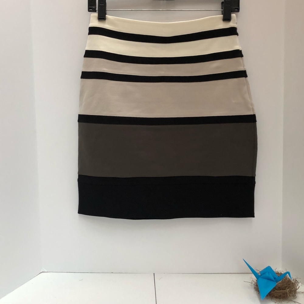 Express Color Block Skirt